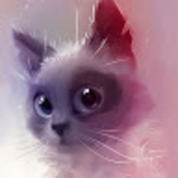 kittenlover0217